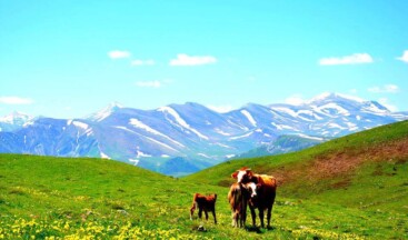 Türkiye’nin Havası En Temiz İli Ardahan