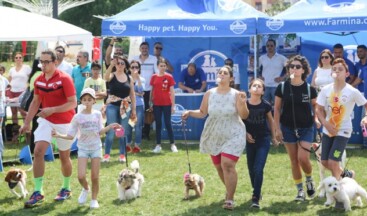 Maltepe’de Sokak hayvanları için el ele verildi