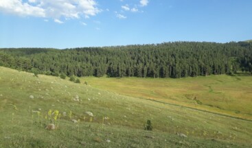Köprülü Beldesi Derneği: Ormanımıza Sahip Çıkalım