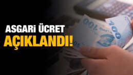 Asgari ücret 2022’de net 4250 TL oldu