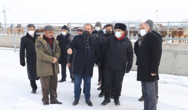 Başkan Demir, Hayvancılık İçin Önemli Açıklamalar Yaptı