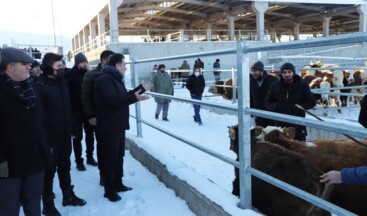 Başkan Demir, Hayvan Pazarında İncelemelerde Bulundu