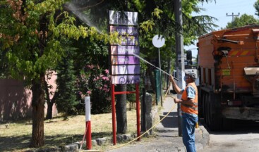 Esenyurt Belediyesi Teke Böceğine Karşı Çalışmalarını Sürdürüyor
