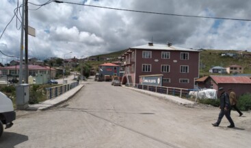 Köprülü Belediyesi, Sokak Hayvanları İçin Gece Yapacak