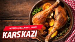Kars Ardahan Kazı Hakkında Bilmeniz Gerekenler