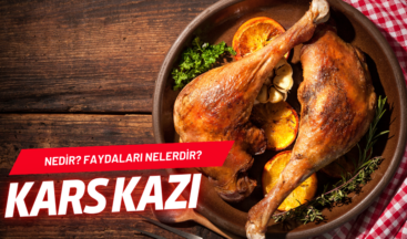 Kars Ardahan Kazı Hakkında Bilmeniz Gerekenler