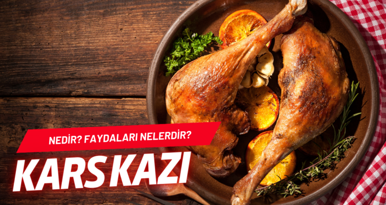 Kars Ardahan Kazı Hakkında Bilmeniz Gerekenler