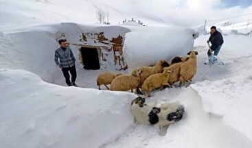 Ardahan: Kar Kış Kıyamet