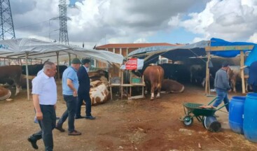 Ataşehir’de Kurban Satış Alanları