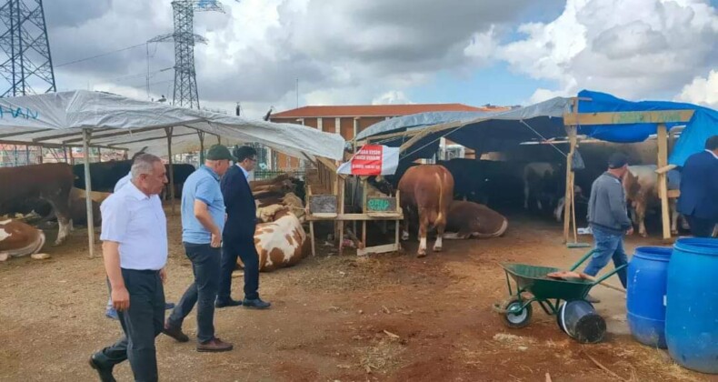 Ataşehir’de Kurban Satış Alanları