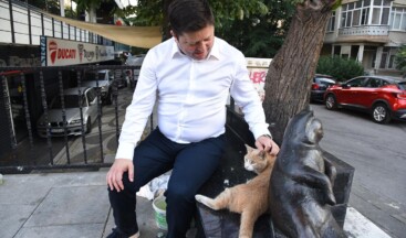 Kösedağı; Kadıköy’de Her Canlının Eşit Yaşam Hakkı Vardır