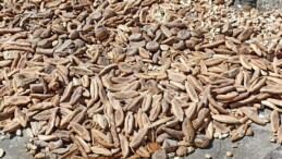 Maltepe’de Ekmeği Sokağa Döktüler