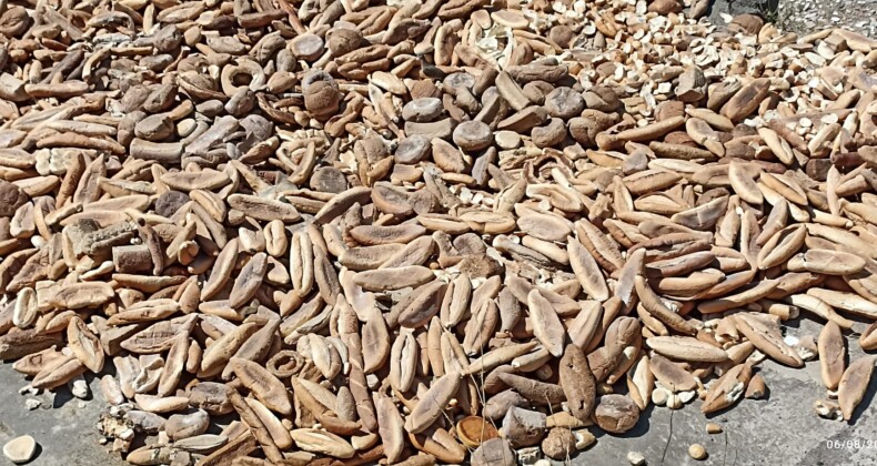 Maltepe’de Ekmeği Sokağa Döktüler