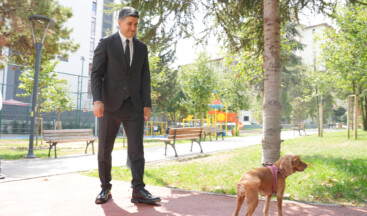 Başkan Adıgüzel’den Sokak Hayvanları İçin Mektup