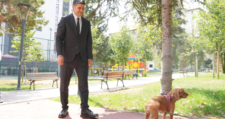 Başkan Adıgüzel’den Sokak Hayvanları İçin Mektup