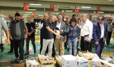 İstanbullu Balıkçılar Yeni Balık Sezonunu Başlattı