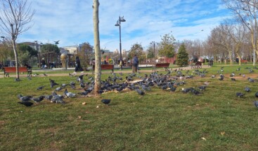 Ataşehir Kayığdağı Parkı, Gövercin Parkı Oldu
