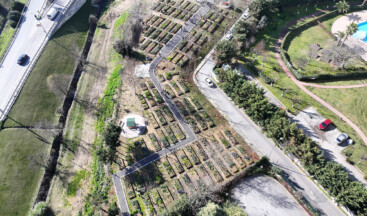Ataşehir’de Kent Bostanları Çoğalıyor
