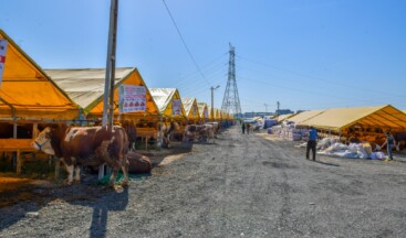 Esenyurt’ta Kurban Satış ve Kesim Alanları Hazır