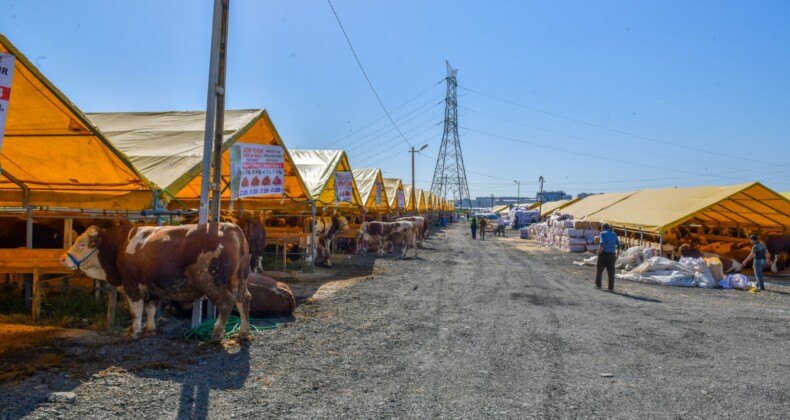 Esenyurt’ta Kurban Satış ve Kesim Alanları Hazır