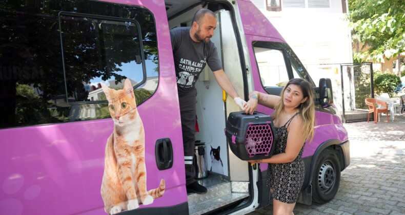 Ataşehir’de Sokak Hayvanları İçin Modern Tedavi