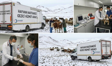 Kars’ta Gezici Hayvan Sağlığı Hizmetleri Projesi Hayata Geçiriliyor