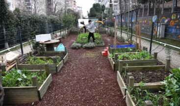 Kadıköy’de Ekolojik Yaşam Merkezi’nde Atölyeler Sürüyor