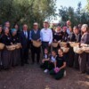Bursa’nın zeytin mirası Gemlik ve Orhangazi’de yaşatılıyor