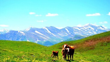 Türkiye’nin Havası En Temiz İli Ardahan