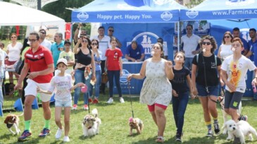 Maltepe’de Sokak hayvanları için el ele verildi