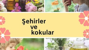 AREV, Ardahan’ın Kokusunu Türkiye’ye Hissettirecek