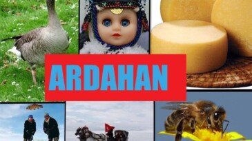 Ankara ARDAFED Tanıtım Günleri Yapacak