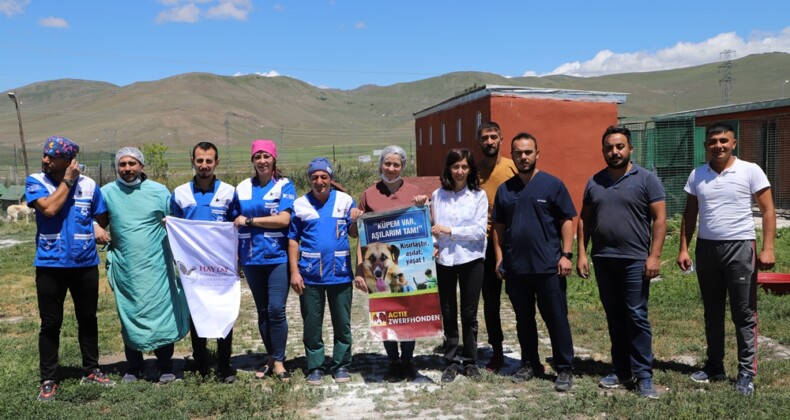 Ardahan Belediyesi ve HAYTAP Sokak Hayvanları İçin Ortak Çalışacaklar