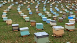 SERKA, Kafkas Arı Ürünleri İşleme Tesisine Destek Verecek