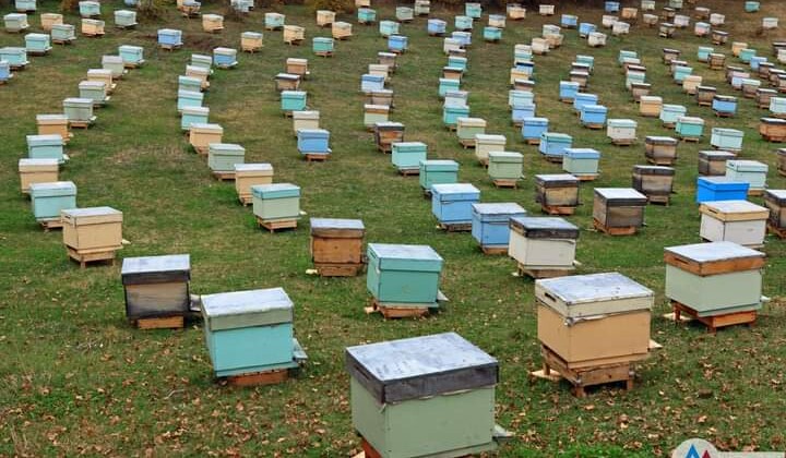SERKA, Kafkas Arı Ürünleri İşleme Tesisine Destek Verecek