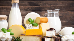 Süt Ürünleri Çocuklarda Kronik Hastalıkları Önleyici Role Sahip