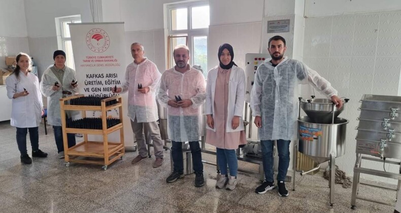 Ardahan’da Propolis Üretimine Başlandı