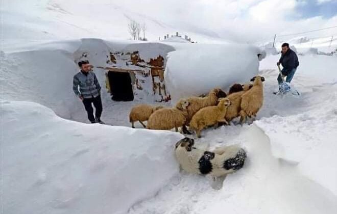 Ardahan: Kar Kış Kıyamet