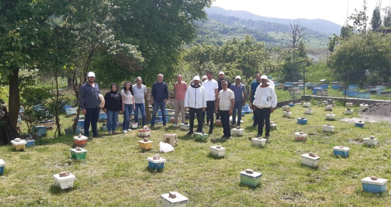 SERKA’dan Kars’ta Arıcılara Ana Arı Yetiştiriciliği Eğitimi