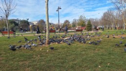 Ataşehir Kayığdağı Parkı, Gövercin Parkı Oldu