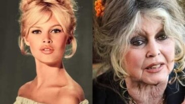 Brigitte Bardot 91 Yaşında Hayatını Kaybetti