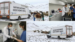 Kars’ta Gezici Hayvan Sağlığı Hizmetleri Projesi Hayata Geçiriliyor