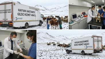 Kars’ta Gezici Hayvan Sağlığı Hizmetleri Projesi Hayata Geçiriliyor