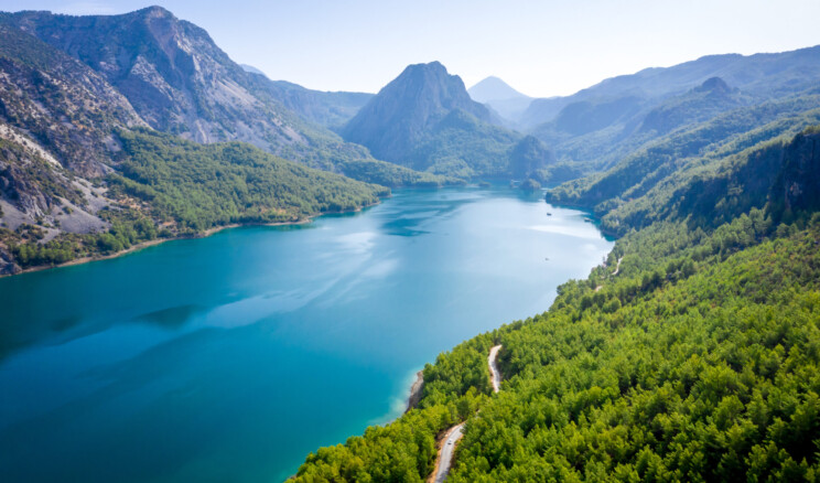 Su ve Orman: Doğanın, Refahın ve Eşitliğin Temel Taşları