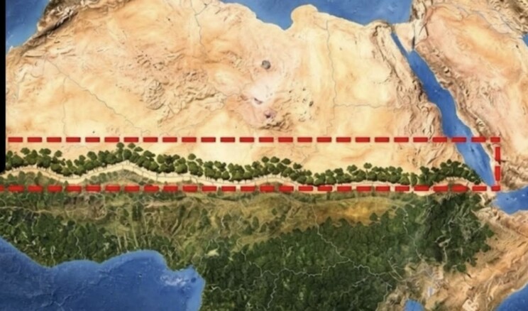 Afrika Sahra Çölü’nde Büyük Yeşil Duvar