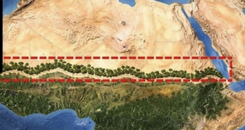 Afrika Sahra Çölü’nde Büyük Yeşil Duvar