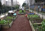 Kadıköy’de Ekolojik Yaşam Merkezi’nde Atölyeler Sürüyor