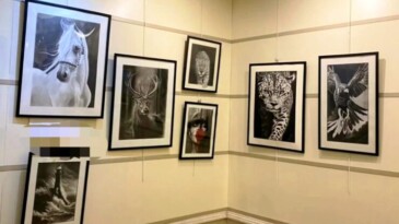 7.Uluslararası Altın Fırça Resim Sergisi