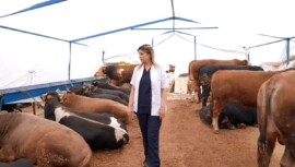 Ataşehir Belediyesi’nden Kurbanlıklar İçin Uyarılar