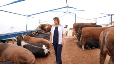 Ataşehir Belediyesi’nden Kurbanlıklar İçin Uyarılar